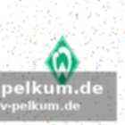 Die aktuelle situation bei werder bremen
