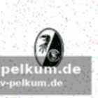 Podcast: was ist für werder unter thioune möglich?