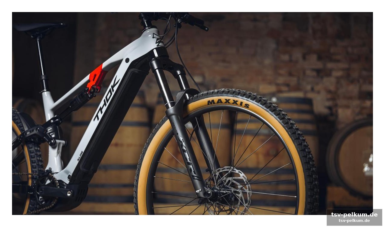 Ein preis, der staunen lässt: thok macht e-mountainbiking zugänglich