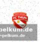 2:2-Unentschieden gegen st. gallen