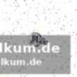 Fokus auf die champions league