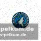 Dosunmu füllt die lücke von conley