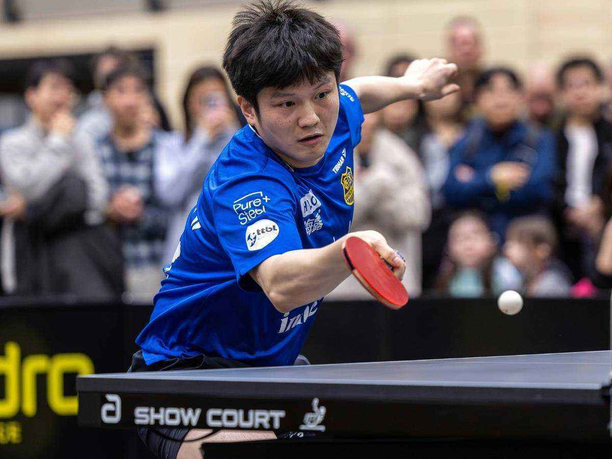 Tischtennis-champions-league: saarbrücken weicht aus, düsseldorf voller zuversicht