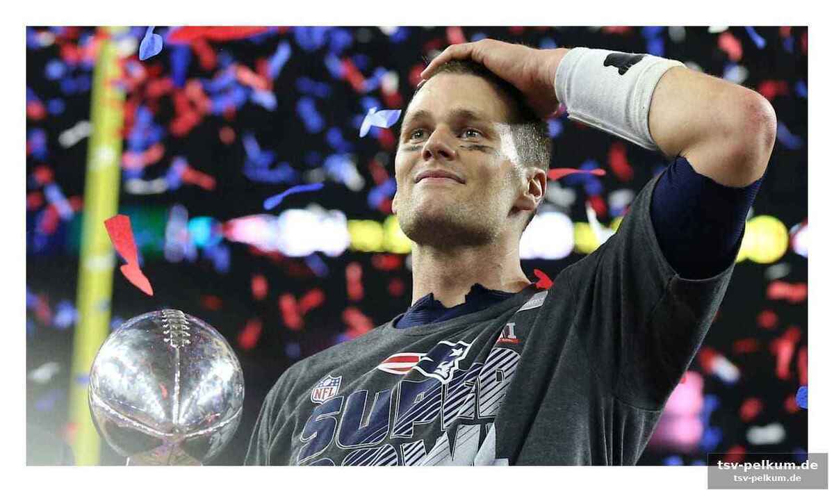 Die dynastie der patriots
