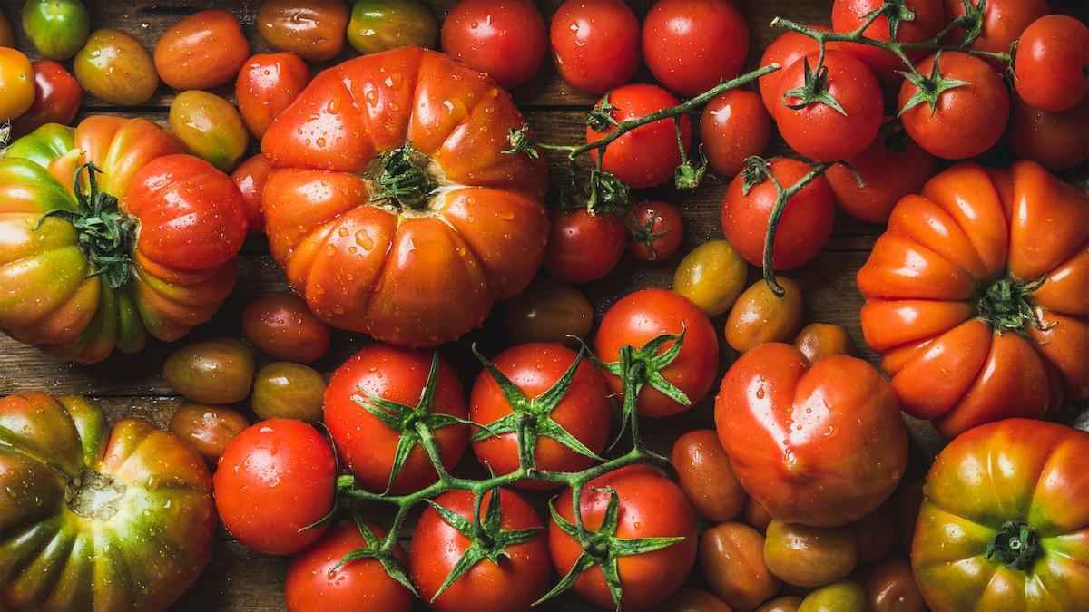 Tomaten aus ägypten: gesundheitsrisiko oder günstige alternative?