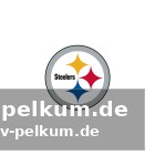 Rodgers als möglicher nachfolger? tomlins erste einschätzung