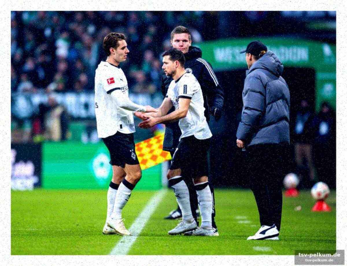 Aktuelle situation der fohlen