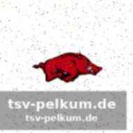 Weitere wichtige verpflichtungen
