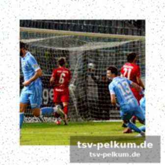 Cfc unaufhaltsam: die formkurve zeigt nach oben