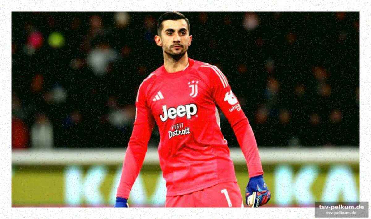 Die kostengünstige alternative: mattia perin