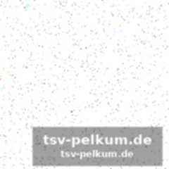 Hoffnung auf aboukhlals rückkehr
