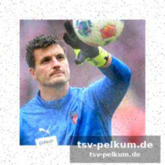 Hoffenheim: campbell, engelns und eduardo kommen
