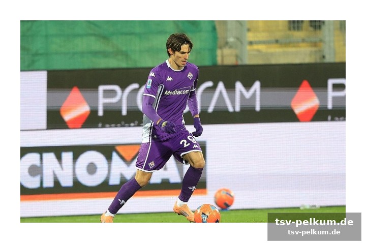 Fiorentina träumt von rückkehr von dragusin