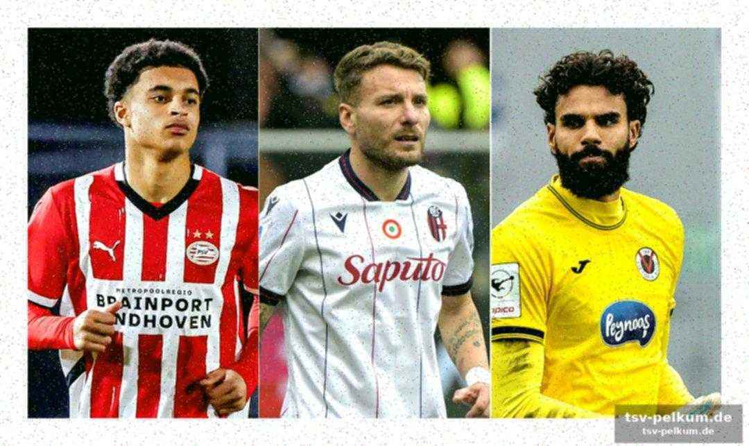 Zweite liga: verstärkungen für die aufstiegskampf-teams