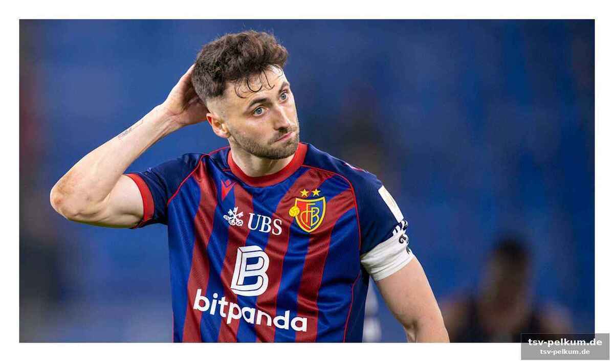 Fc sion: kontinuität trotz transfer-potenzial