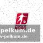 Bremer sv und ssv jeddeloh ii: veränderungen im kader