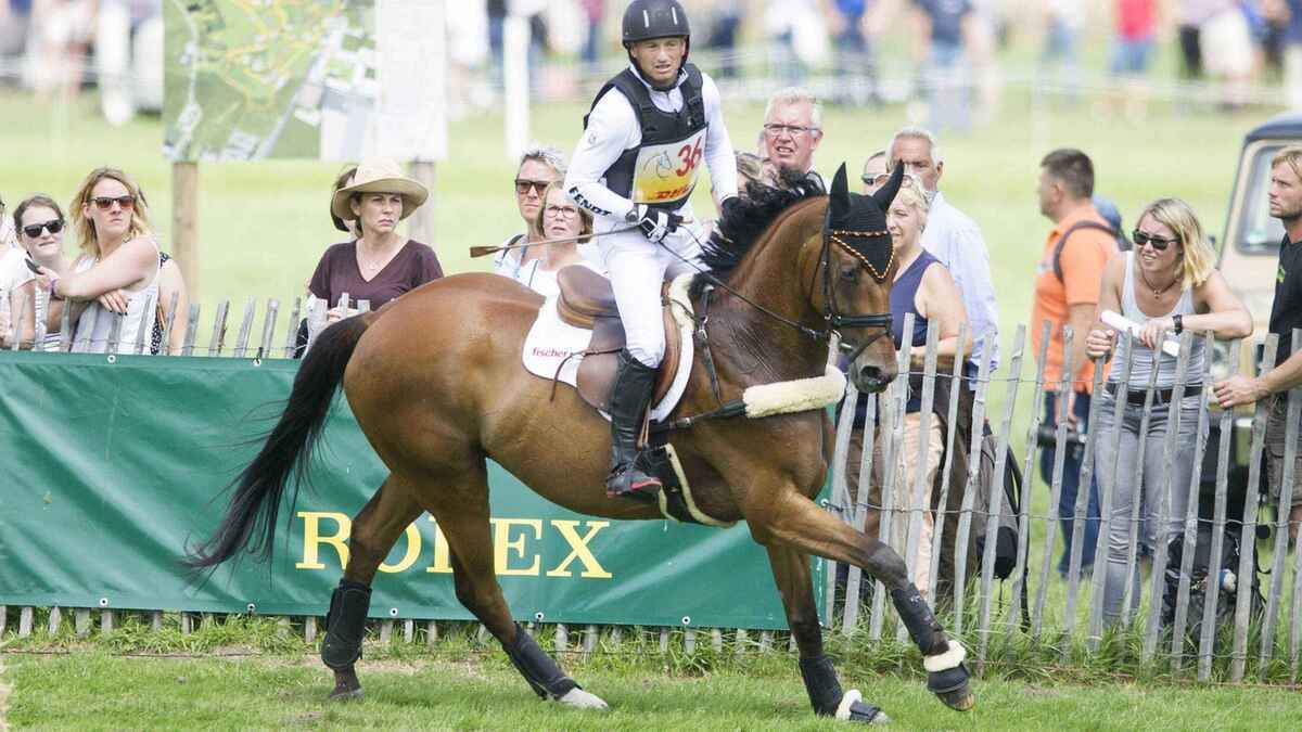 Trauer um eine legende: olympiasieger michael jung verliert sein ausnahme-pferd sam