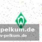 Der aufstieg zum nationaltrainer