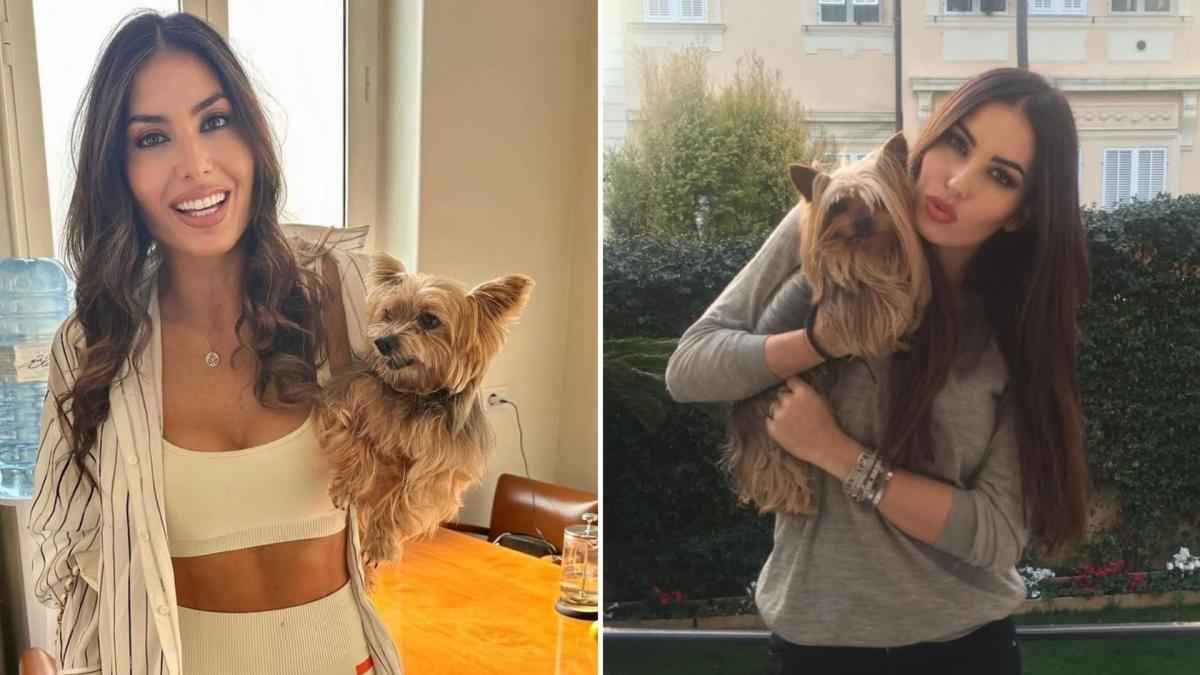 Trauer und gerüchte: elisabetta gregoraci verabschiedet geliebte diva