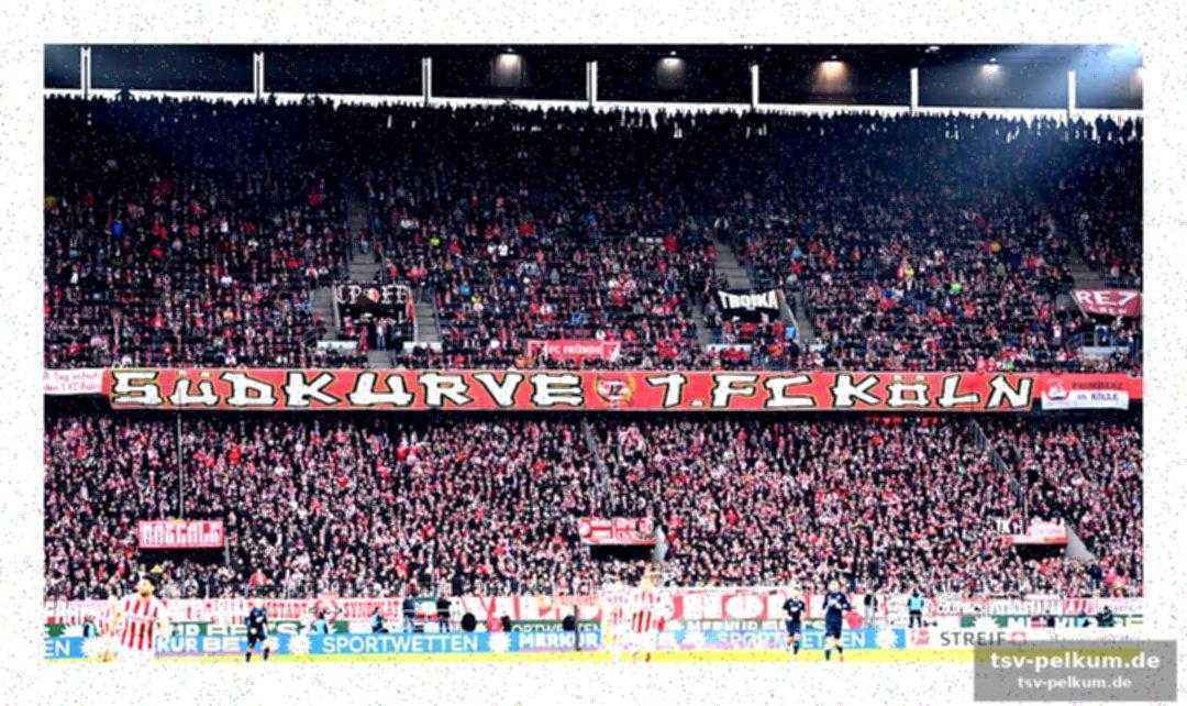 Erste hilfe und reanimation im stadion