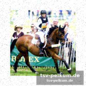 Bundestrainerin theodorescu begeistert