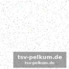 Lewandowski statt wundertüte: die transfer-forderung