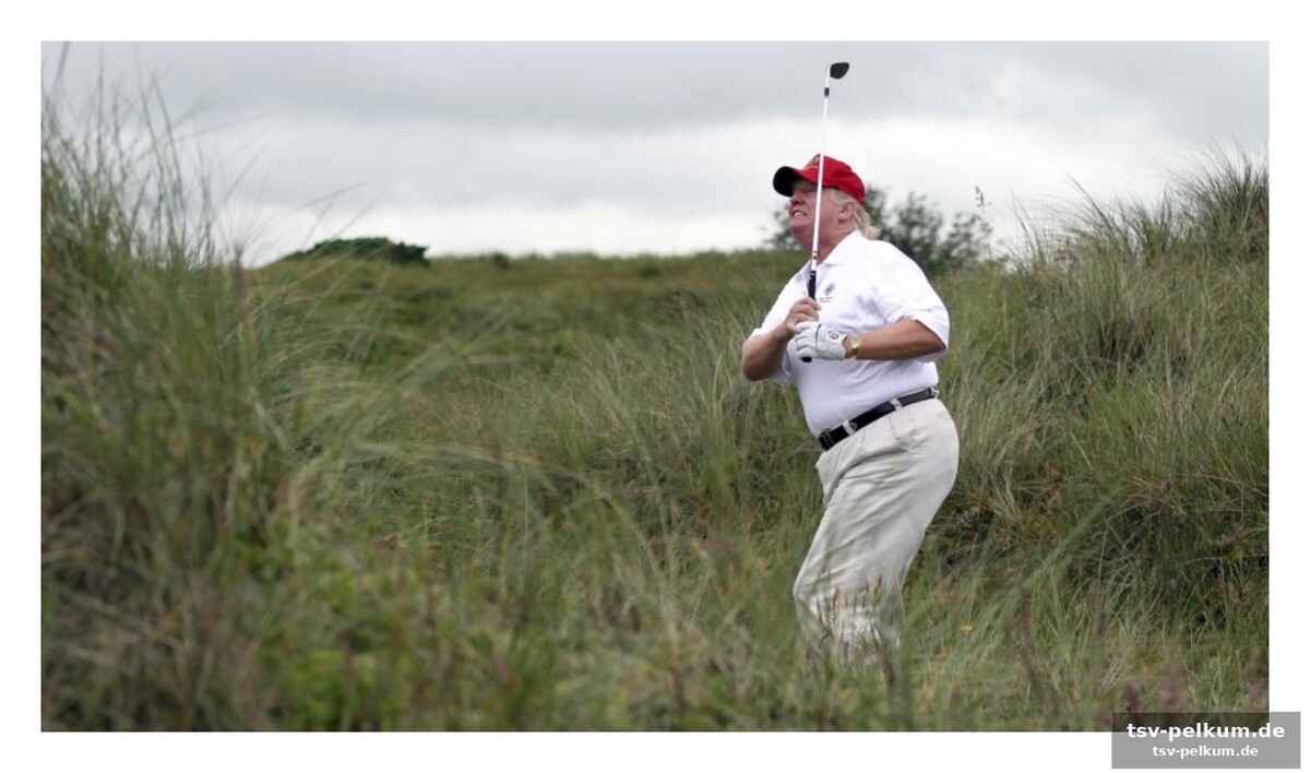 Trumps begehren: die elite im direkten duell