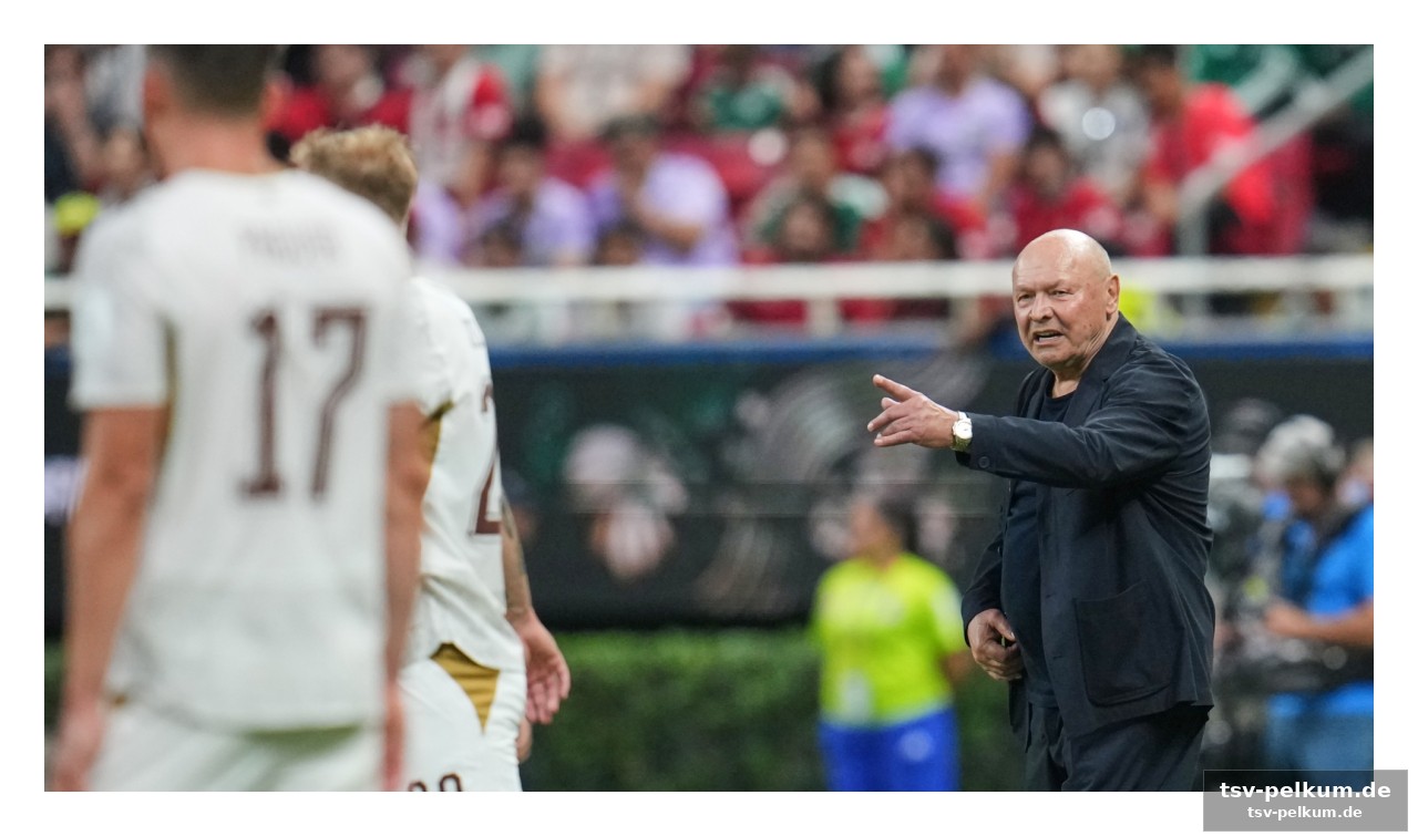Die analyse: warum die tschechische offensive versagte