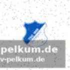 Zehn kandidaten, eine neuwahl – und der verein muss weiter