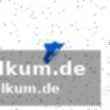 Die tsg und die champions league: eine kurze geschichte