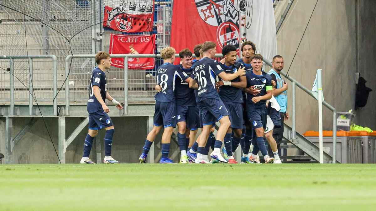 Tsg hoffenheim holt den deutschen meistertitel!