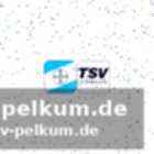 Luis pauli verlässt den tsv