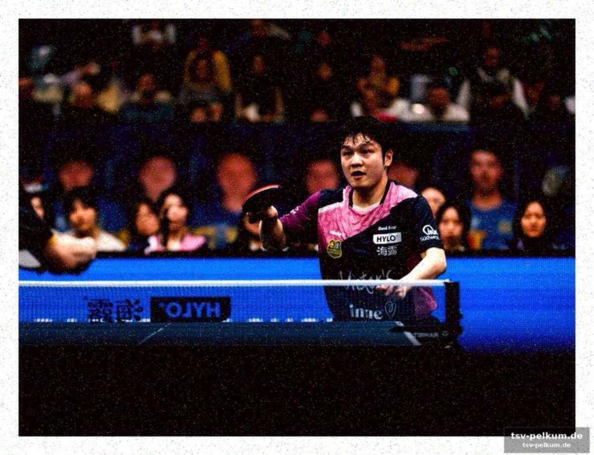 Überraschende niederlage für fan zhendong