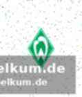 Mahmouds dankbarkeit und loyalität