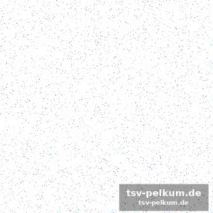 Starke leistungen der gäste