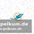 Ist hill noch ein wr1? die rollenfrage