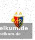 Sturmprobleme beim fc basel