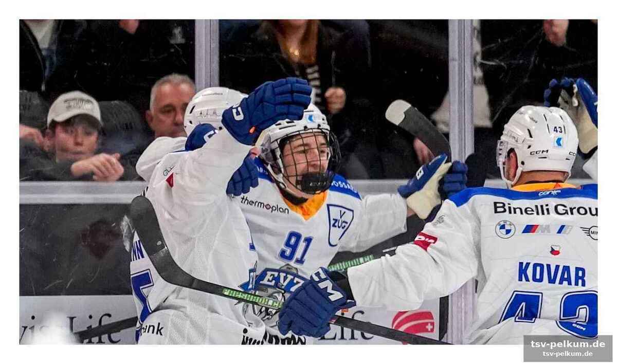 Die top-adressen für schweizer eishockey-nachwuchs
