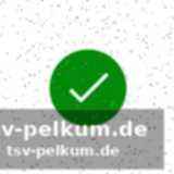 Toppins verletzung überschattet den sieg