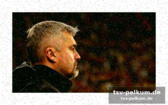 Reis
