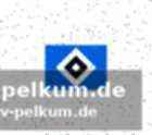 Rückkehr nach hamburg für otto stange