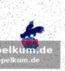 Potsdamer reaktion und kaderplanung