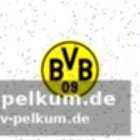 Debüt im märz möglich?