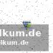 Füchse berlin holen sich auswärtssieg in mainz