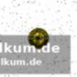 Rostocker hc knapp gescheitert