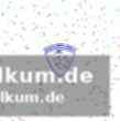 Sonntagsspiele im fokus