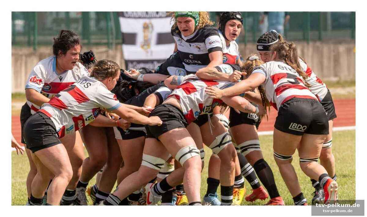 Majadahonda kämpft sich ins finale: ein nervenkrimi gegen getxo rugby