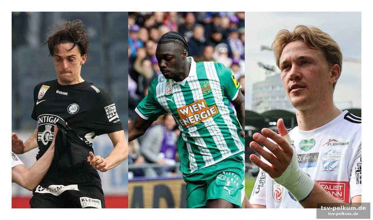 Ercan kara als joker-könig und kalajdzic kehrt zurück