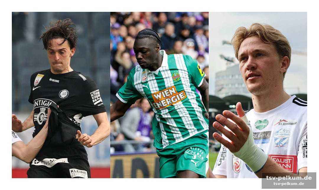 Opta-daten: maart, bajic und mustapha im fokus
