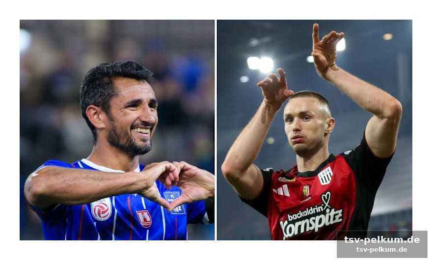 Hartberg setzt zum ausrufezeichen, blau-weiß linz feiert historischen sieg